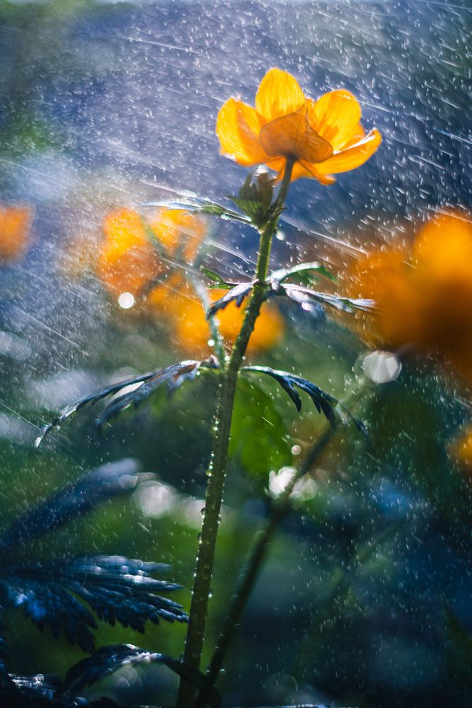 Photograph by Николай Захаров