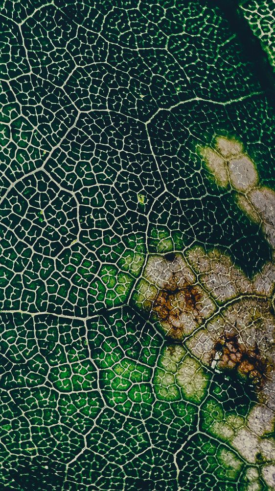 Фотография автора Дарья Бойкова