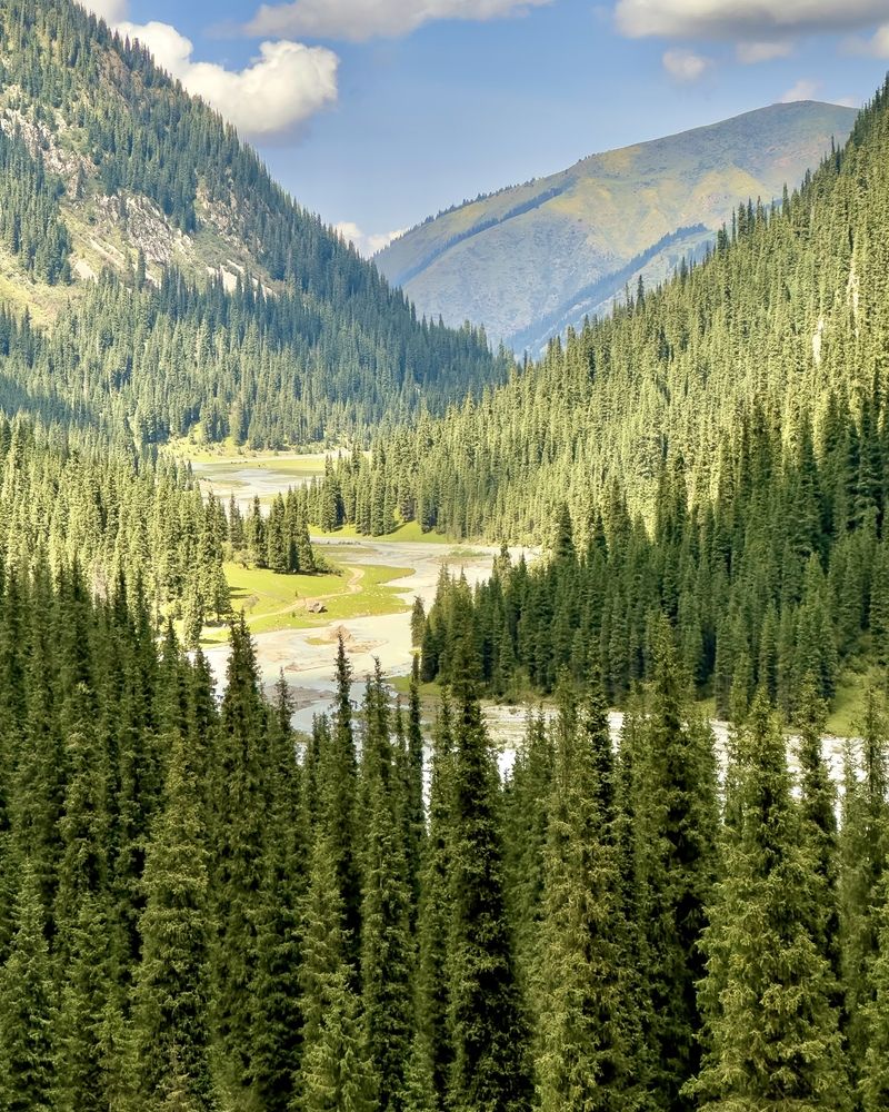 Photograph by Ольга Бибекина