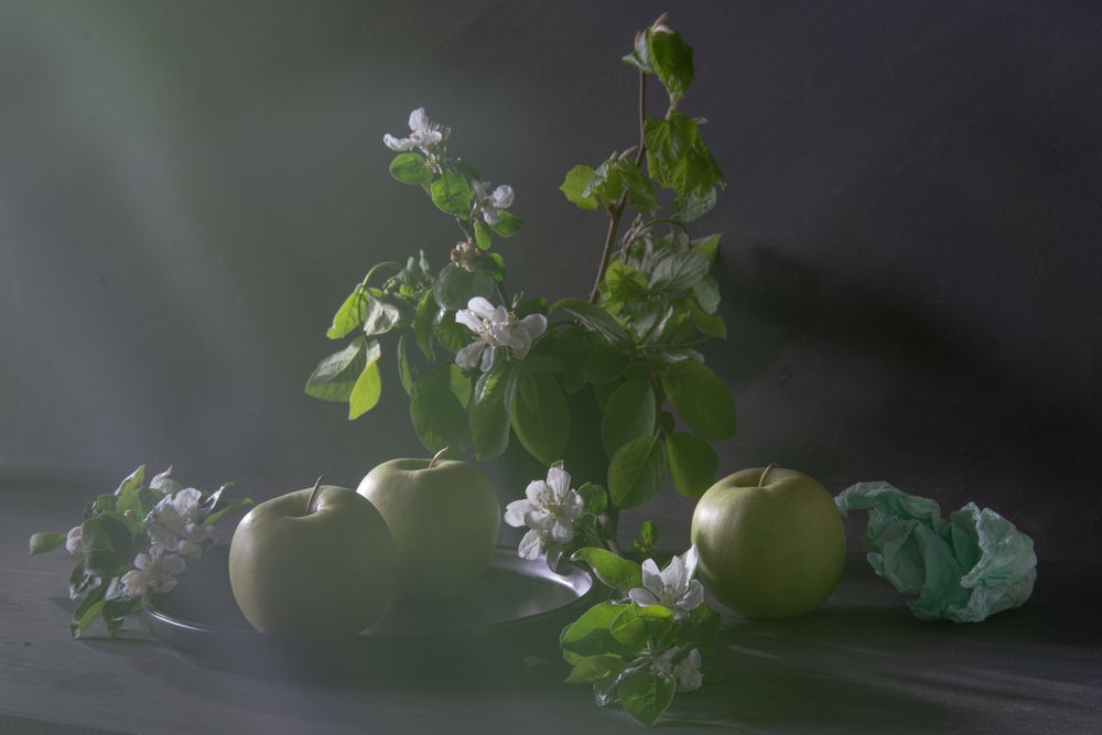 Photograph by Игорь Смирнов