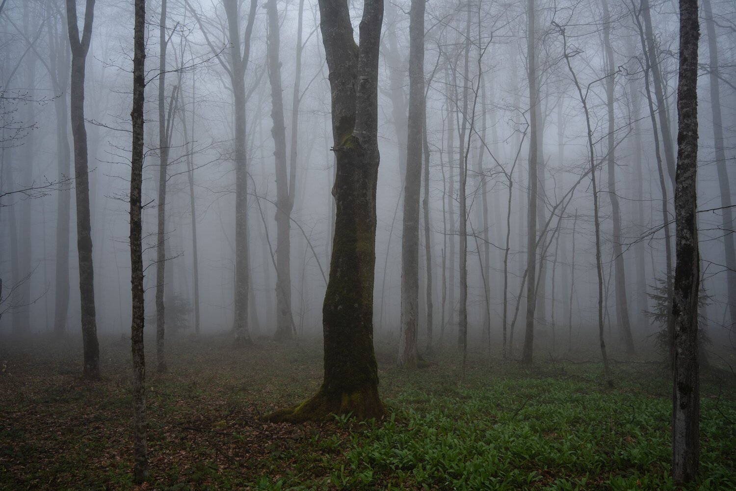 Photo #13604112