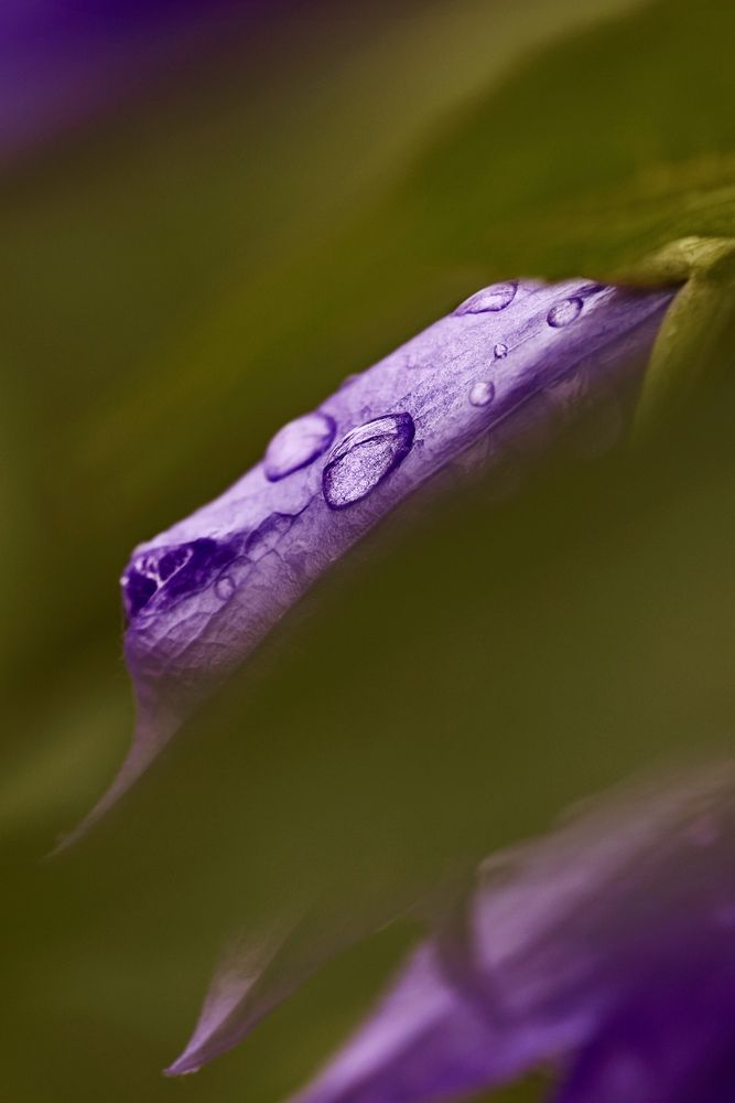 Photograph by Шаргородская Марина