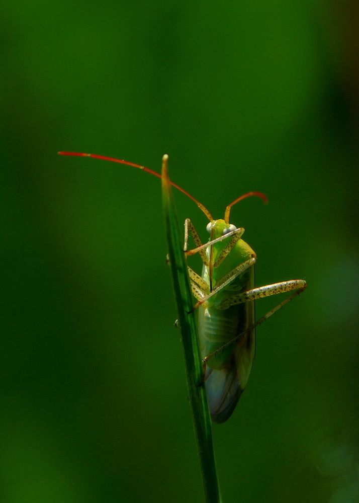 Photograph by Сергей Чеченов