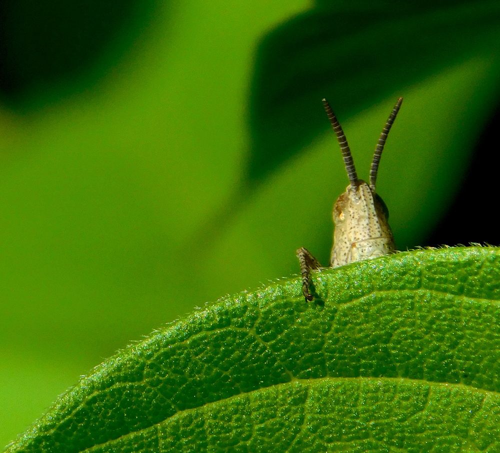 Photograph by Сергей Чеченов