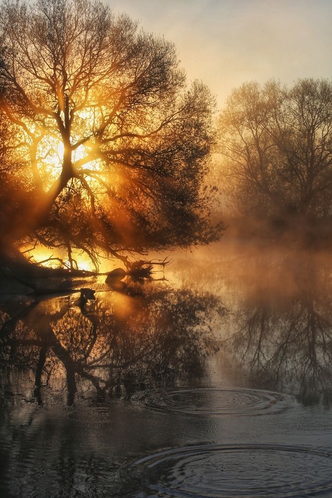 Photograph by Leanid Kulpo