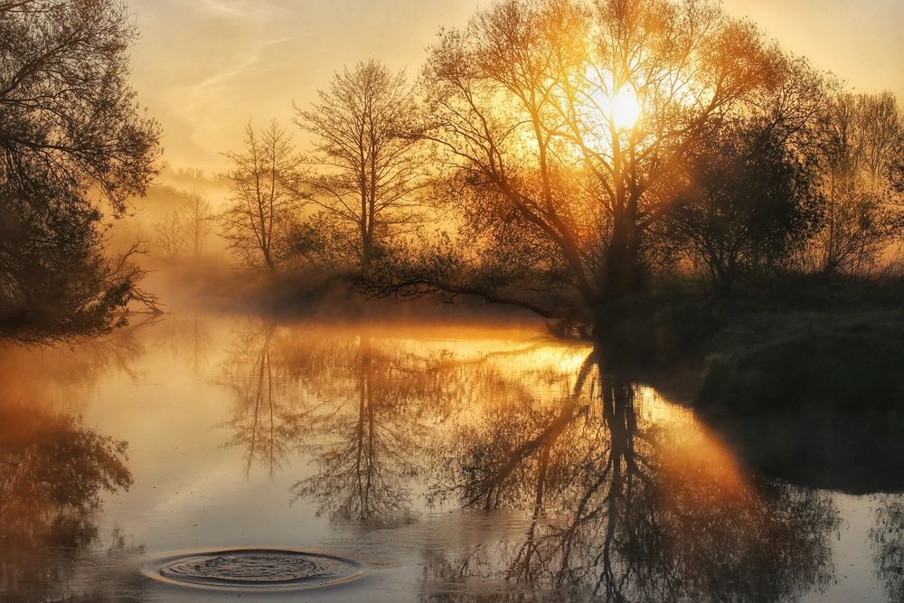 Photograph by Leanid Kulpo