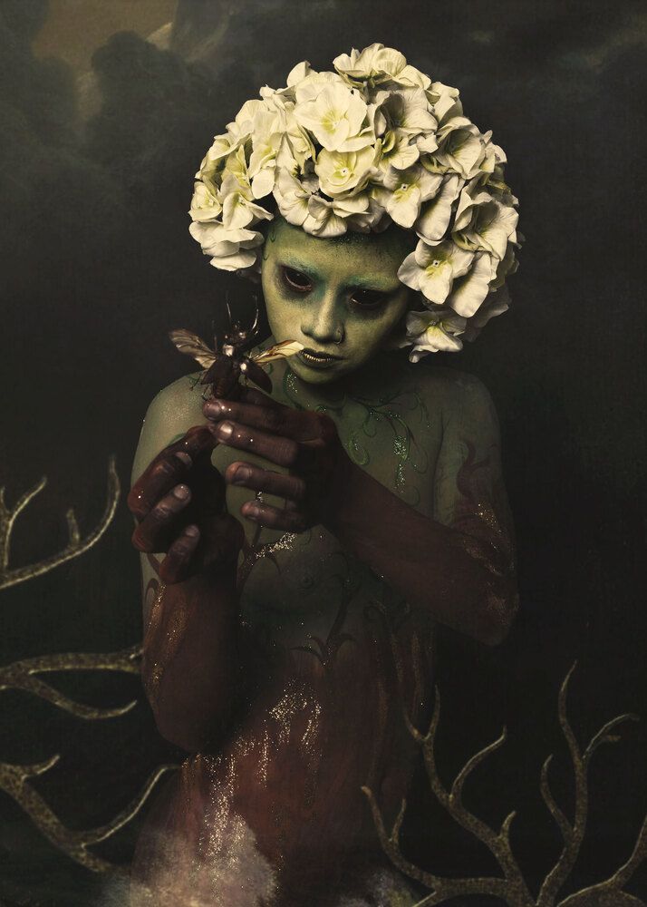 Фотография автора Sadoc Romero