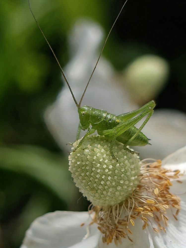 Photograph by Куделенко Оксана
