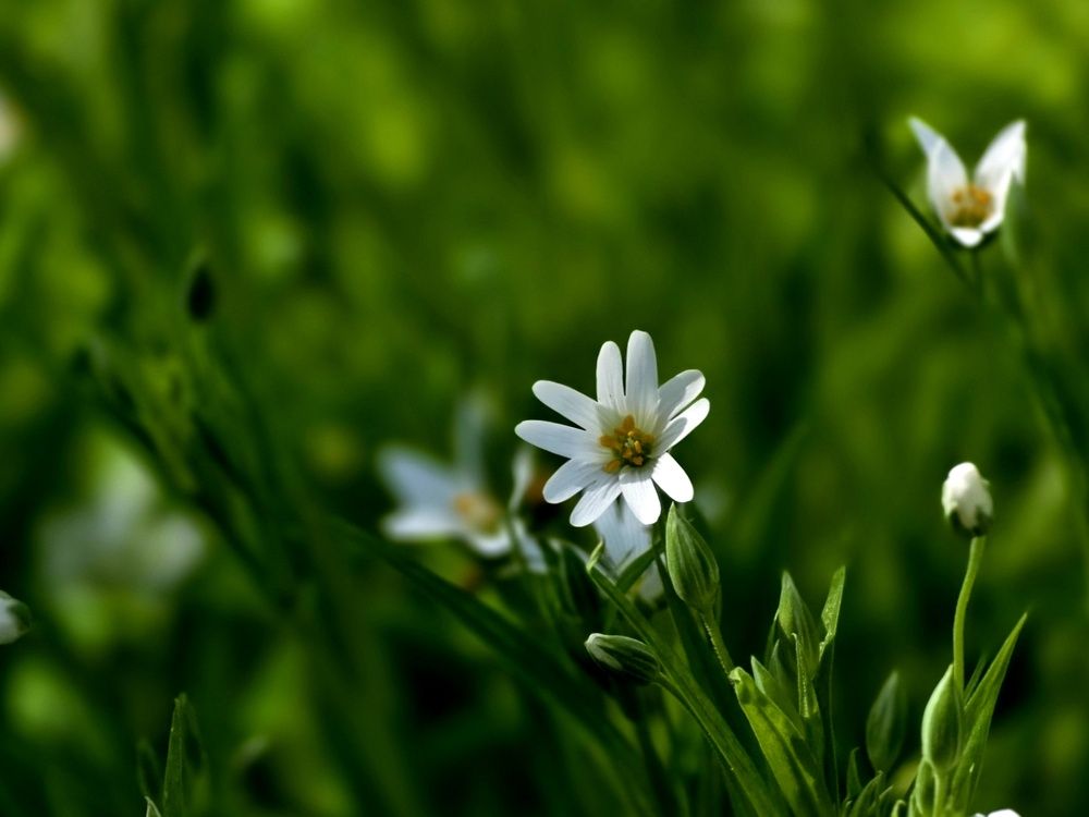 Photograph by Куделенко Оксана