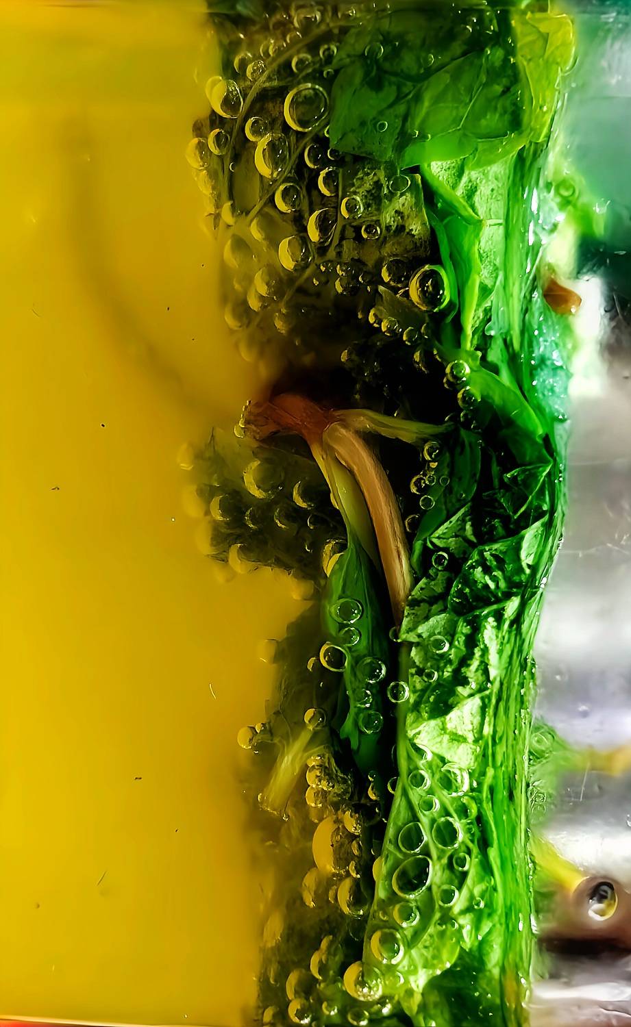 Photo #13604403