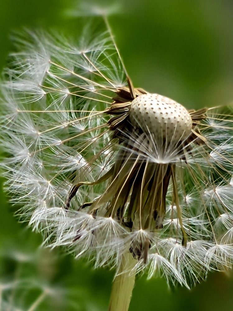 Photograph by Куделенко Оксана