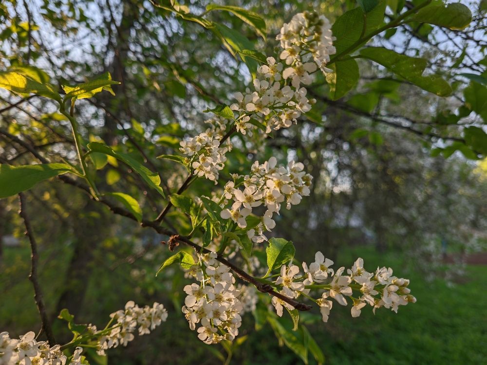 Фотография автора Татьяна Гореленкова