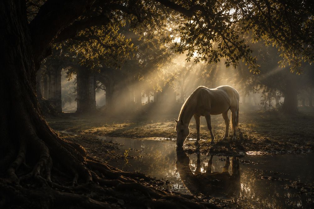 Photograph by Степан Бочаров