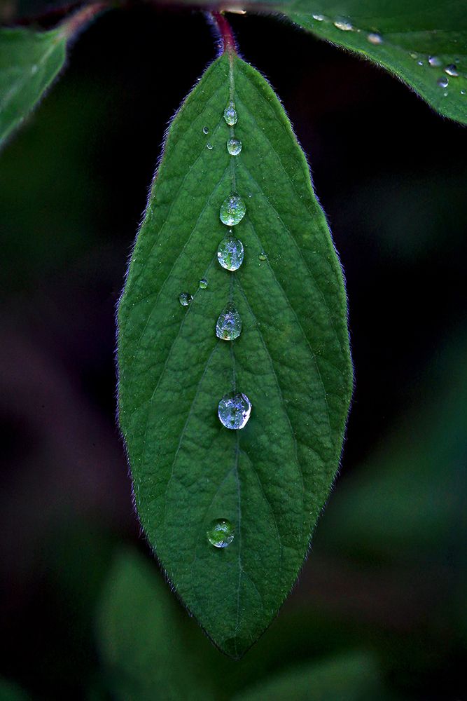 Photograph by Владимир Ходаковский