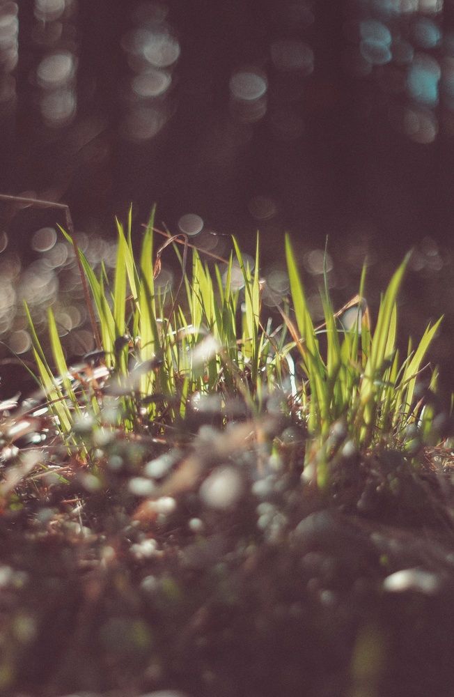 Photograph by Екатерина Колот