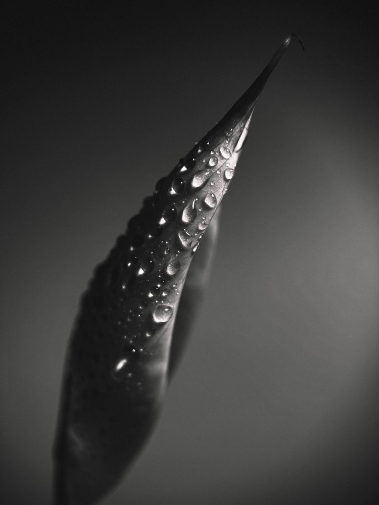 Photograph by Ляйсан Саляхиева