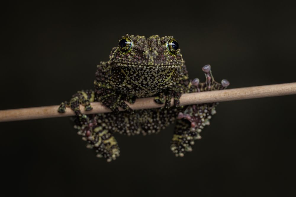 Photograph by Яна Нарбутович