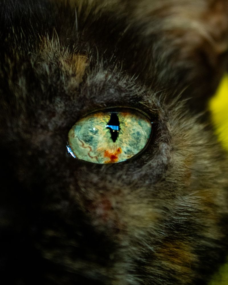 Photograph by Judá Ramires