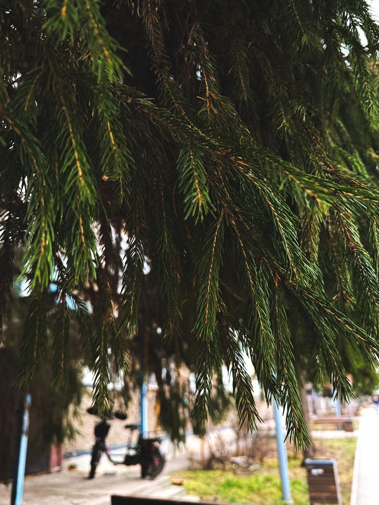 Photograph by Ляйсан Саляхиева