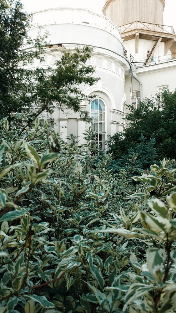 Photograph by Владислав Афанасьев