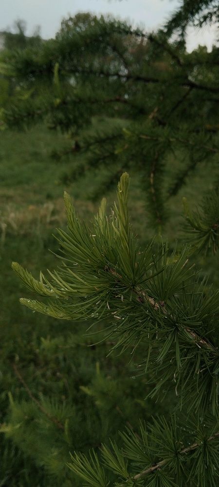 Photo #13604619