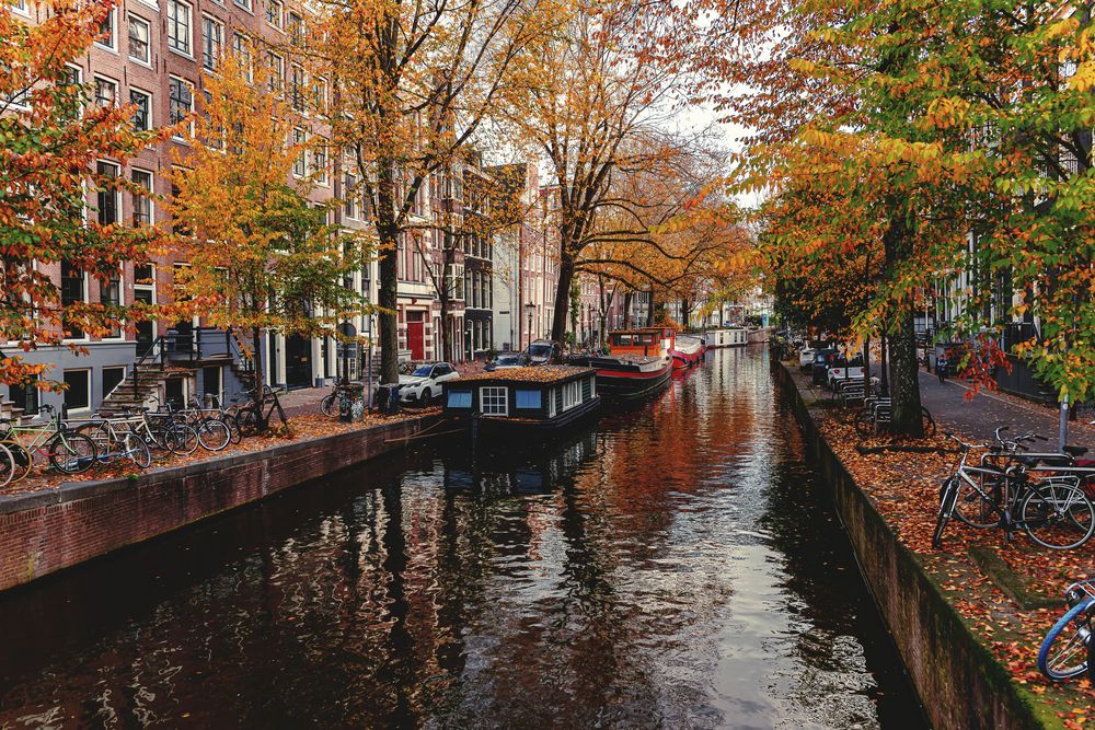 Amsterdam foliage