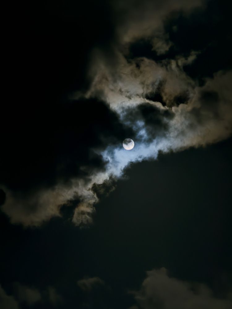Photograph by Анастасия Терехова