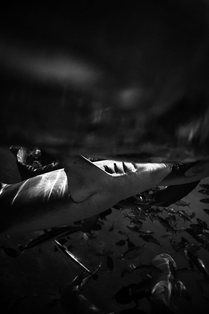 Photograph by Evgeniia Zorina