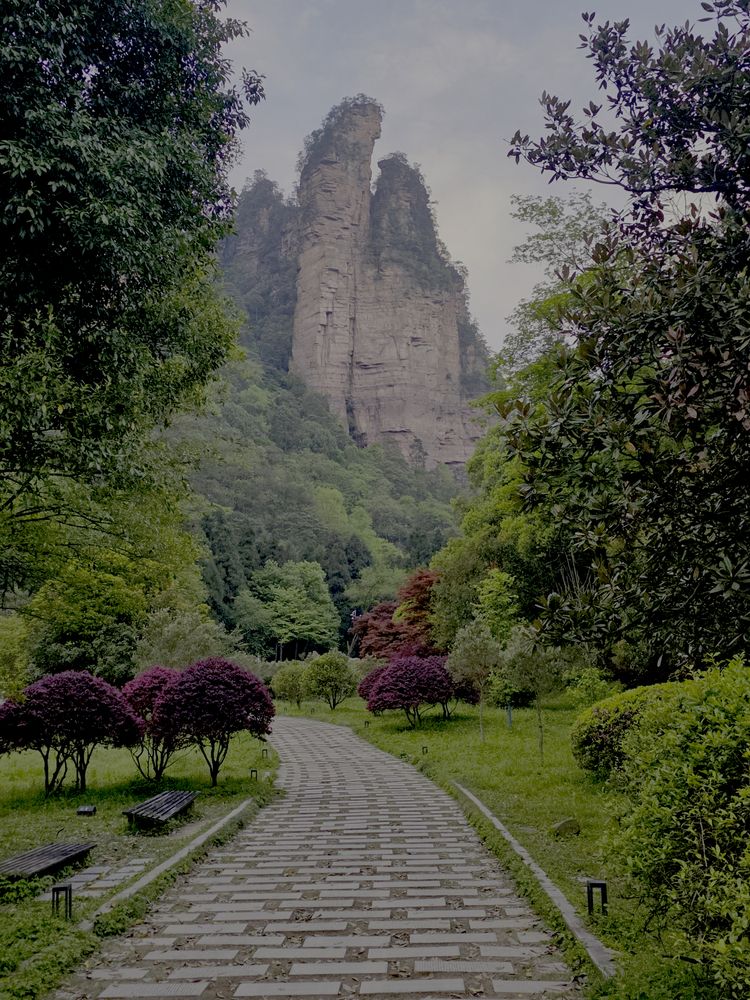 Фотография автора Ксения Бочарникова