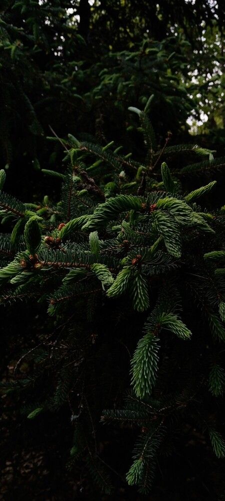 Photo #13604770