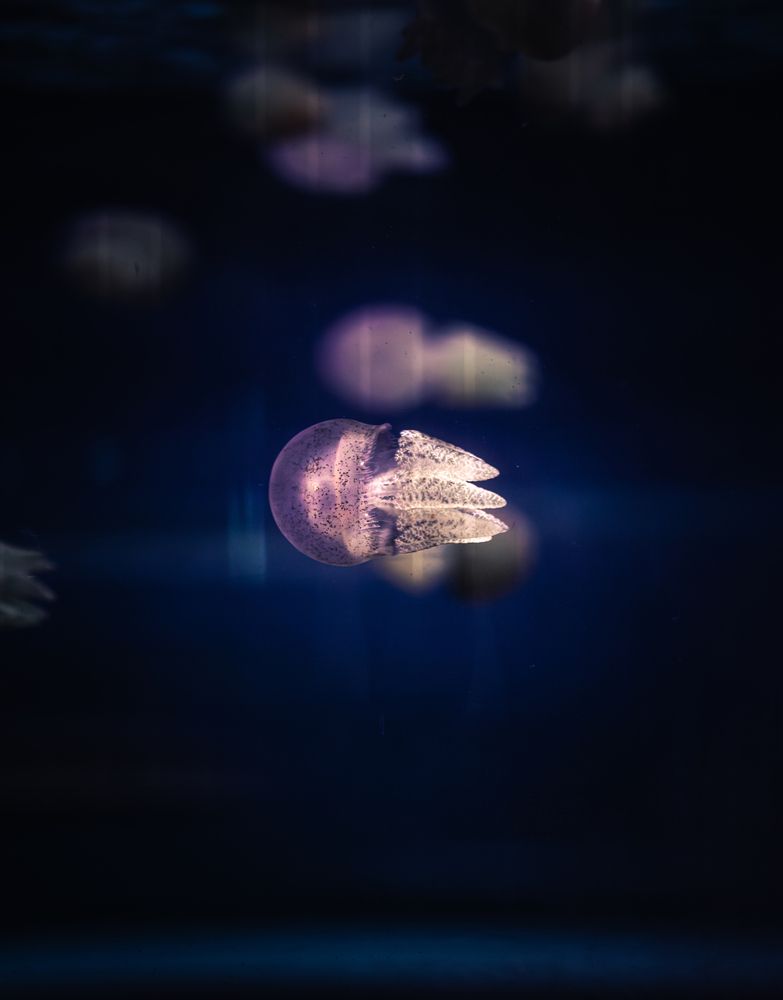 Photograph by Abdullah Ahmad