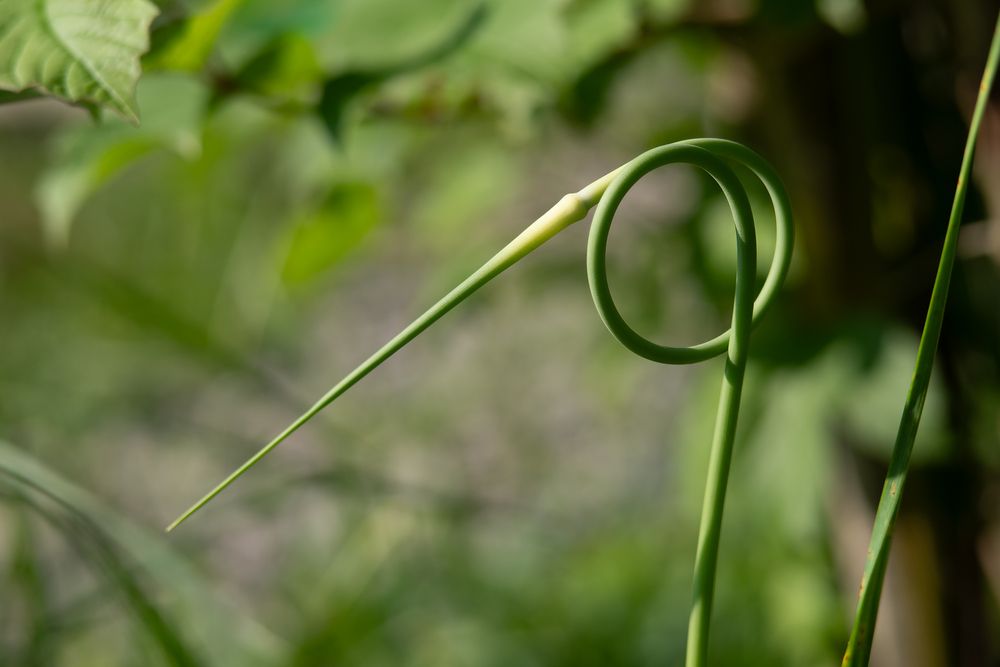 Photograph by Ирина Рябоконь