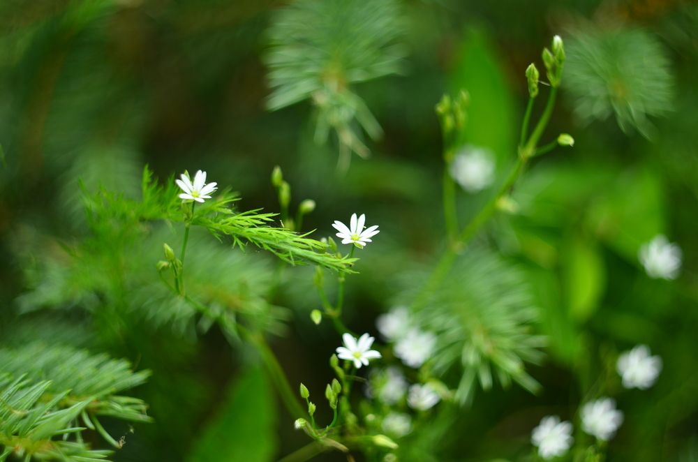 Photograph by Aliaksei Jodko