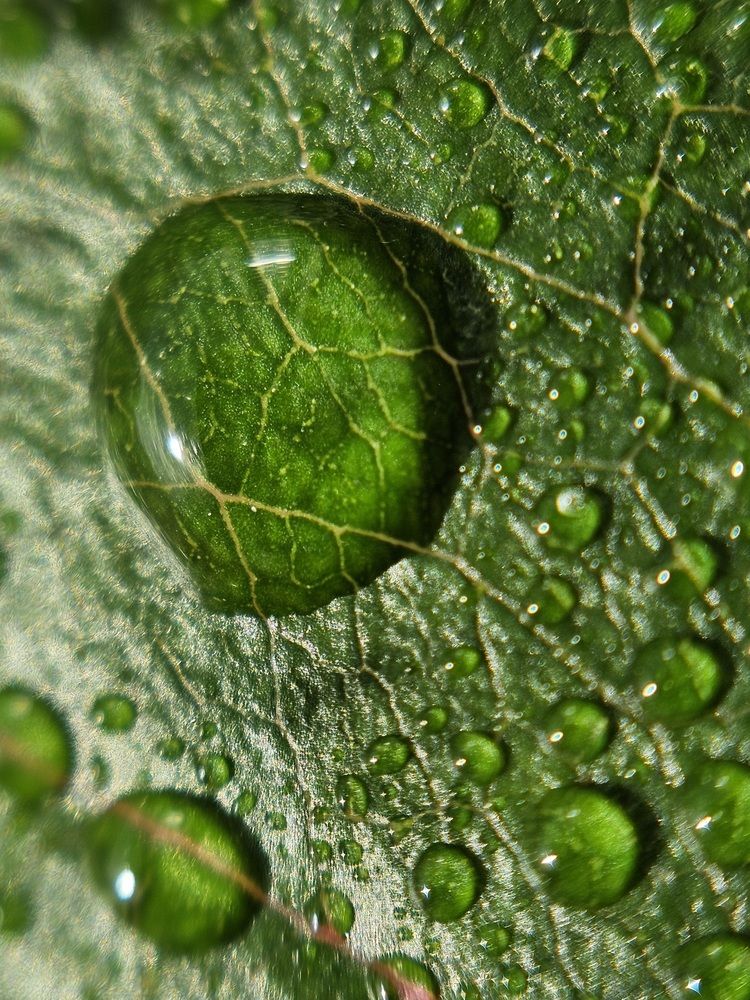 Photograph by Екатерина Сенько