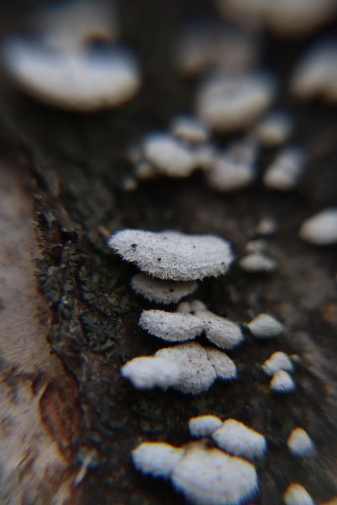 Photograph by Лилия Хохлова