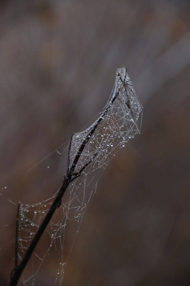 Photograph by Лилия Хохлова