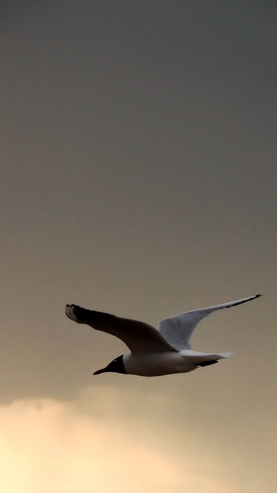 Photograph by Лилия Хохлова
