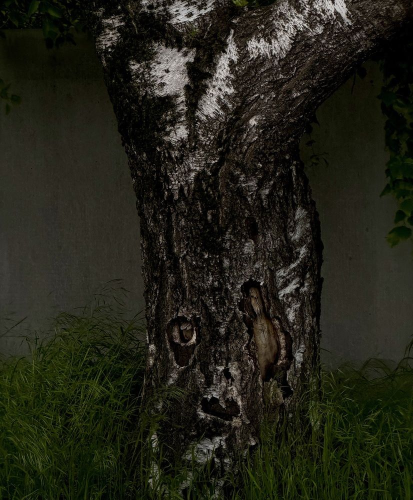 Photograph by Вероника Крюкова