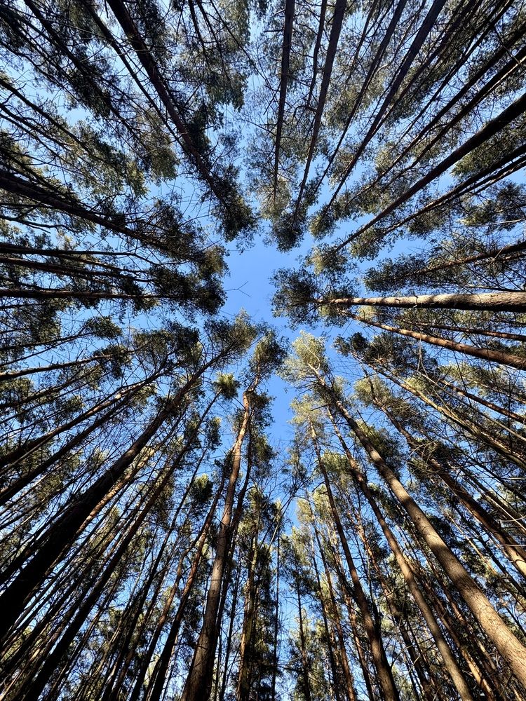 Photograph by Александра
