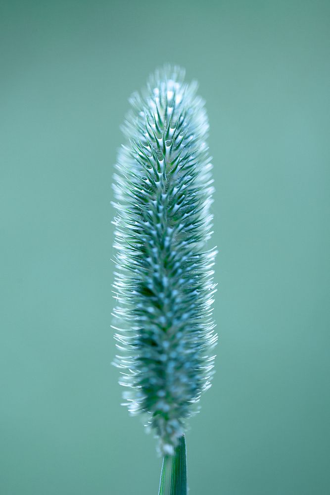 Photograph by Владимир Ходаковский