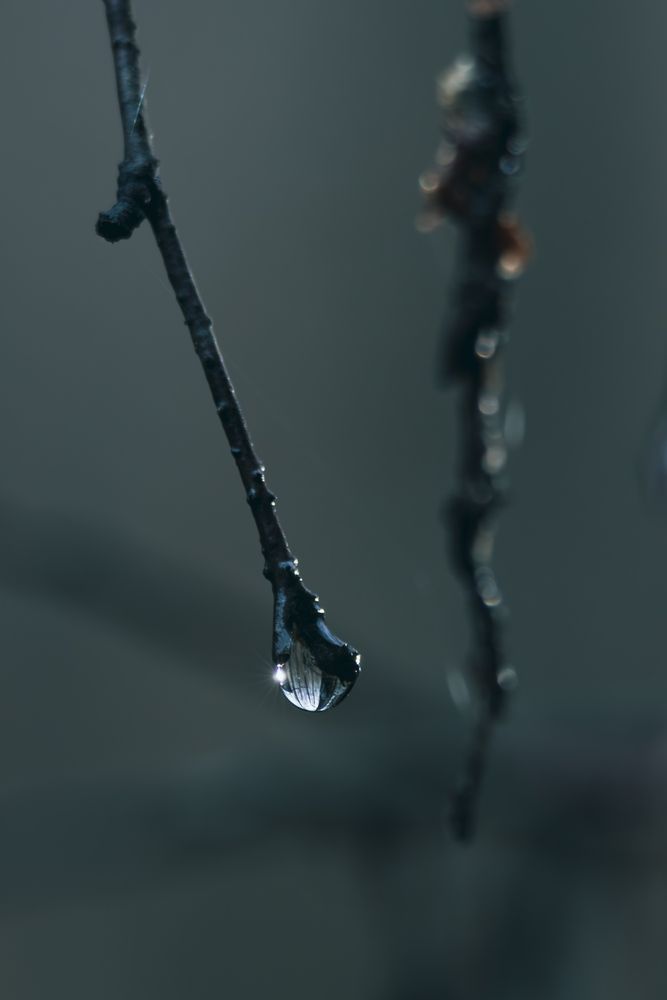Photograph by Евгений