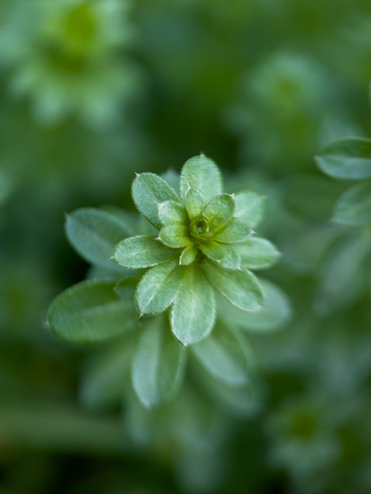 Photograph by Дарья Логовская