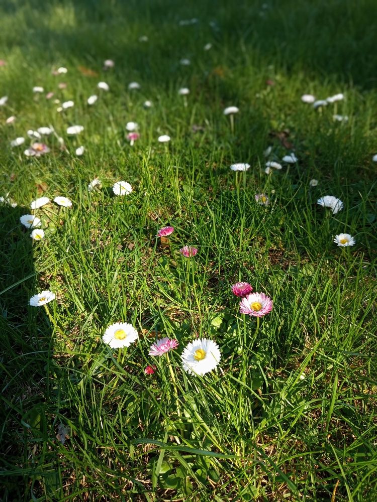 Photograph by Irena TURČINSKAJA