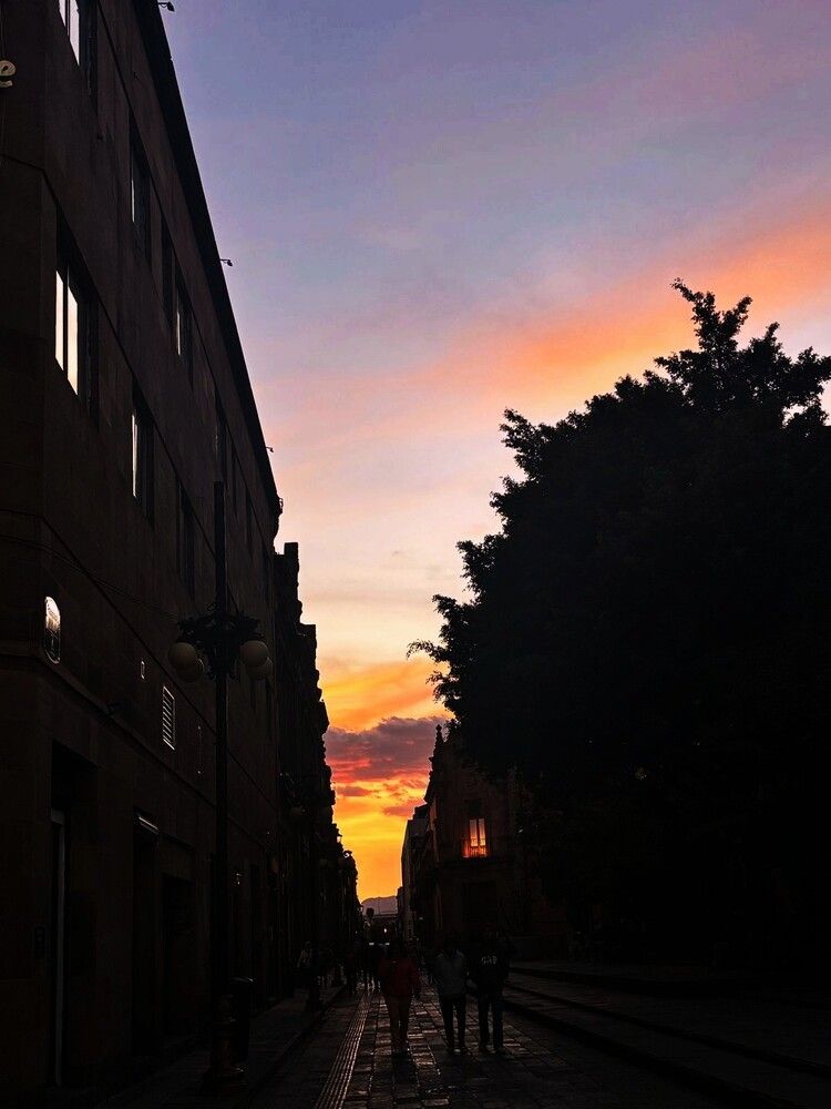 Photograph by Sofia Angeles Roman