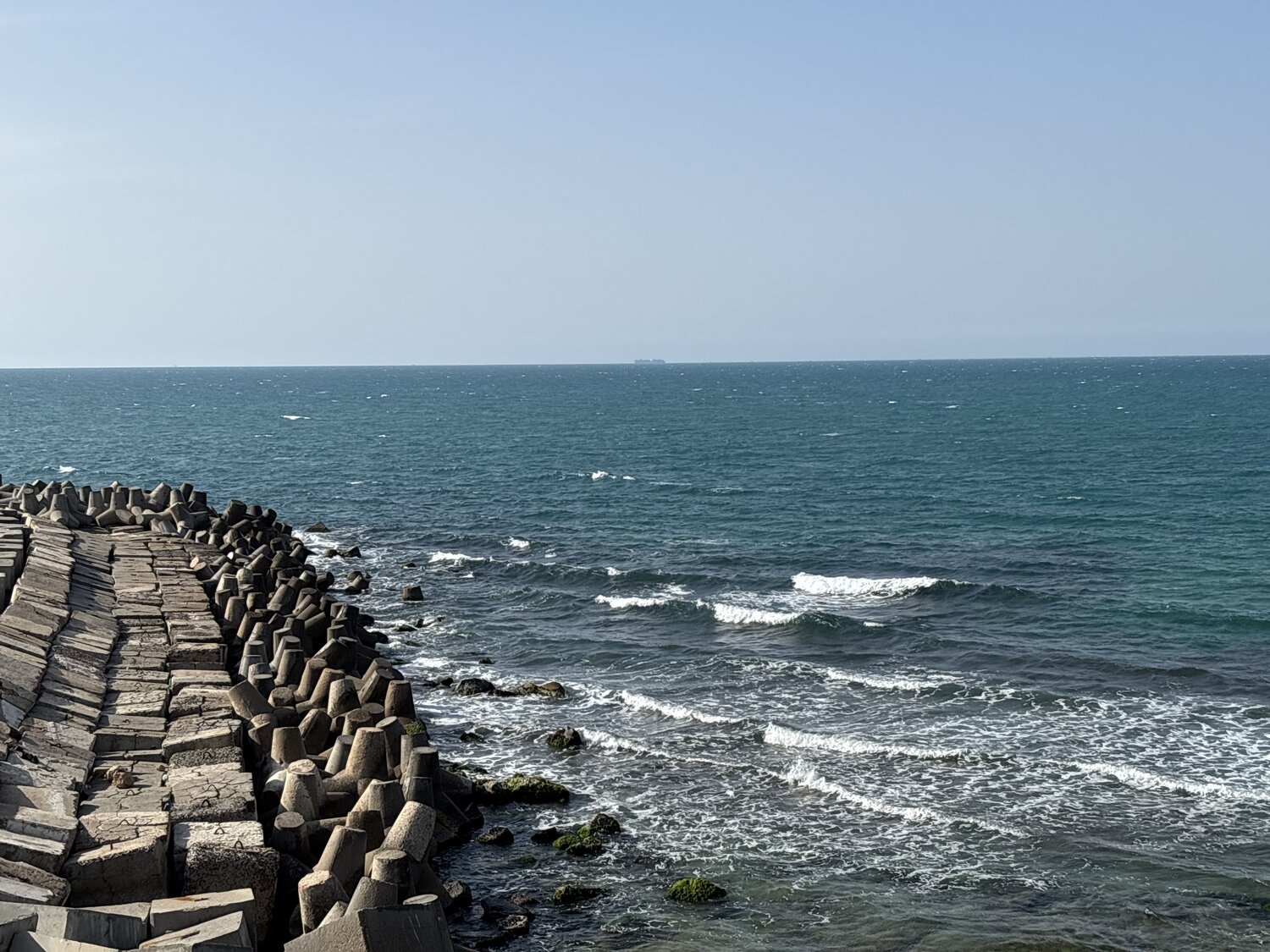Photo #13605324