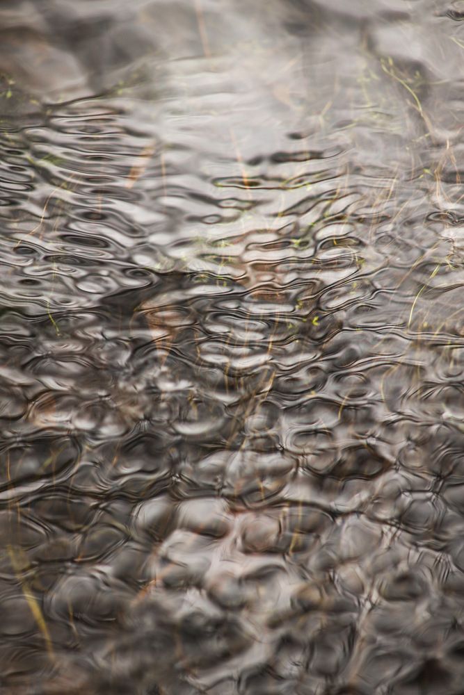 Photo #13605364