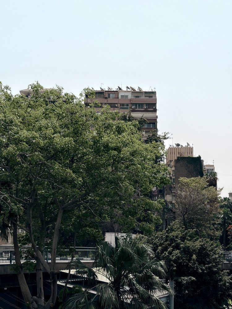 Photograph by Abdelrahman Ashraf