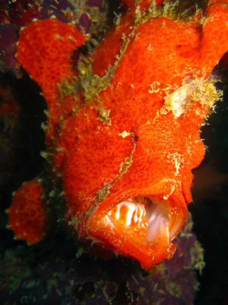 Photograph by Андрей Калинин