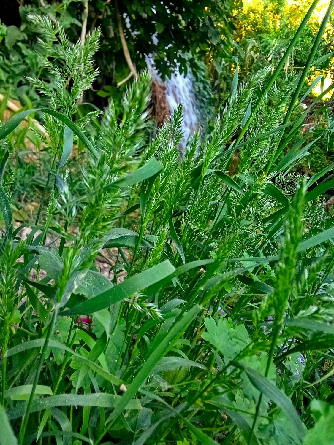 Photo #13605397