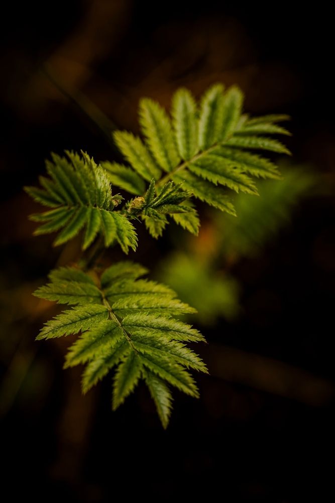 Photograph by Ридель Натали